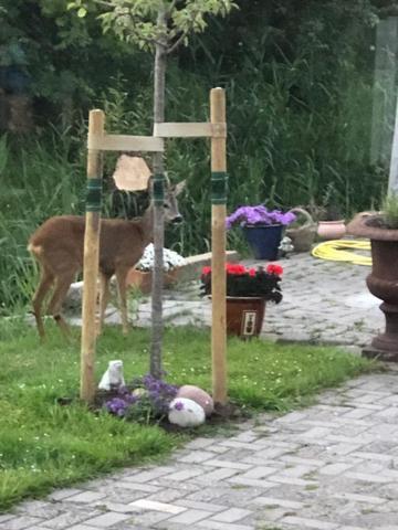 Onder De Pannen Apartman Stavoren Kültér fotó